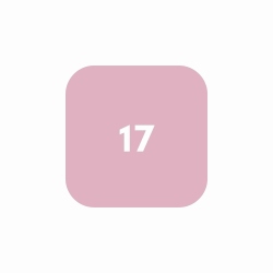 Obrázek Rada Xiaomi 17