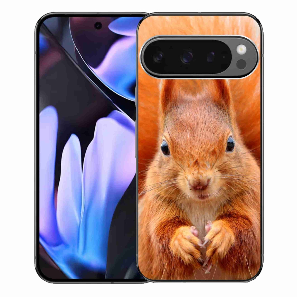 Gélový kryt mmCase na Google Pixel 9 Pro XL - veverička