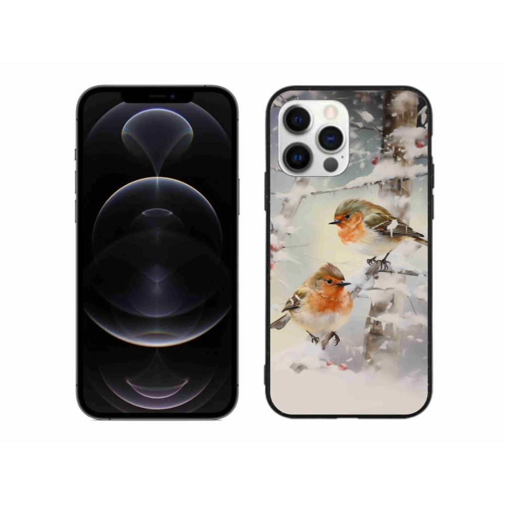Gélový kryt mmCase na iPhone 12 Pro Max - vtáčiky v zime