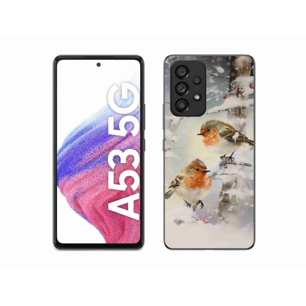 Gélový kryt mmCase na Samsung Galaxy A53 5G - vtáčiky v zime