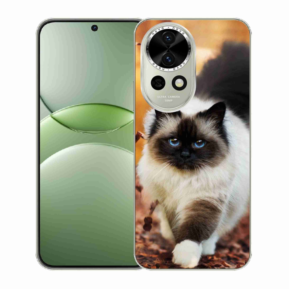 Gélový kryt mmCase na Huawei Nova 13 5G - mačka