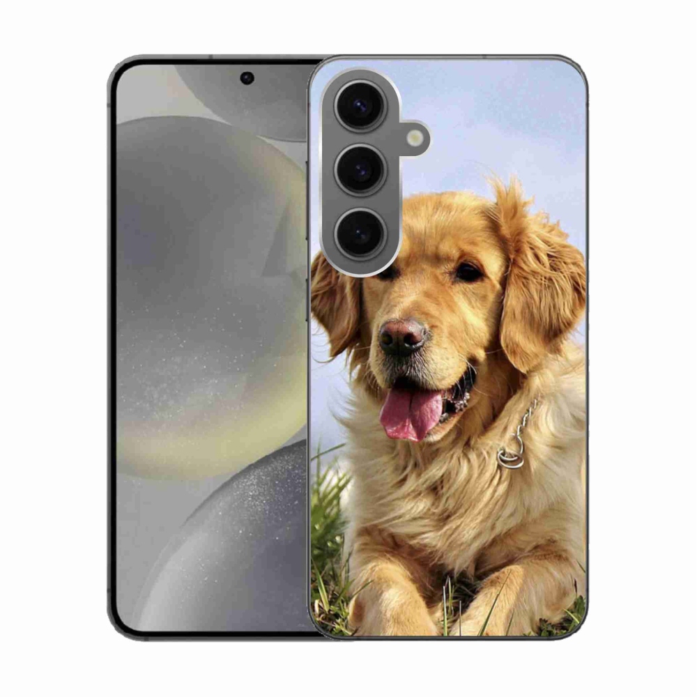Gélový obal mmCase na Samsung Galaxy S24 - zlatý retriever