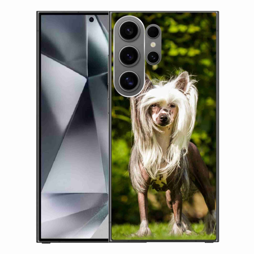 Gélový kryt mmCase na Samsung Galaxy S24 Ultra - čínsky chocholatý pes