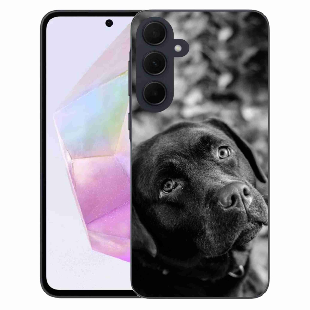 Gélový obal mmCase na Samsung Galaxy A35 5G - labrador