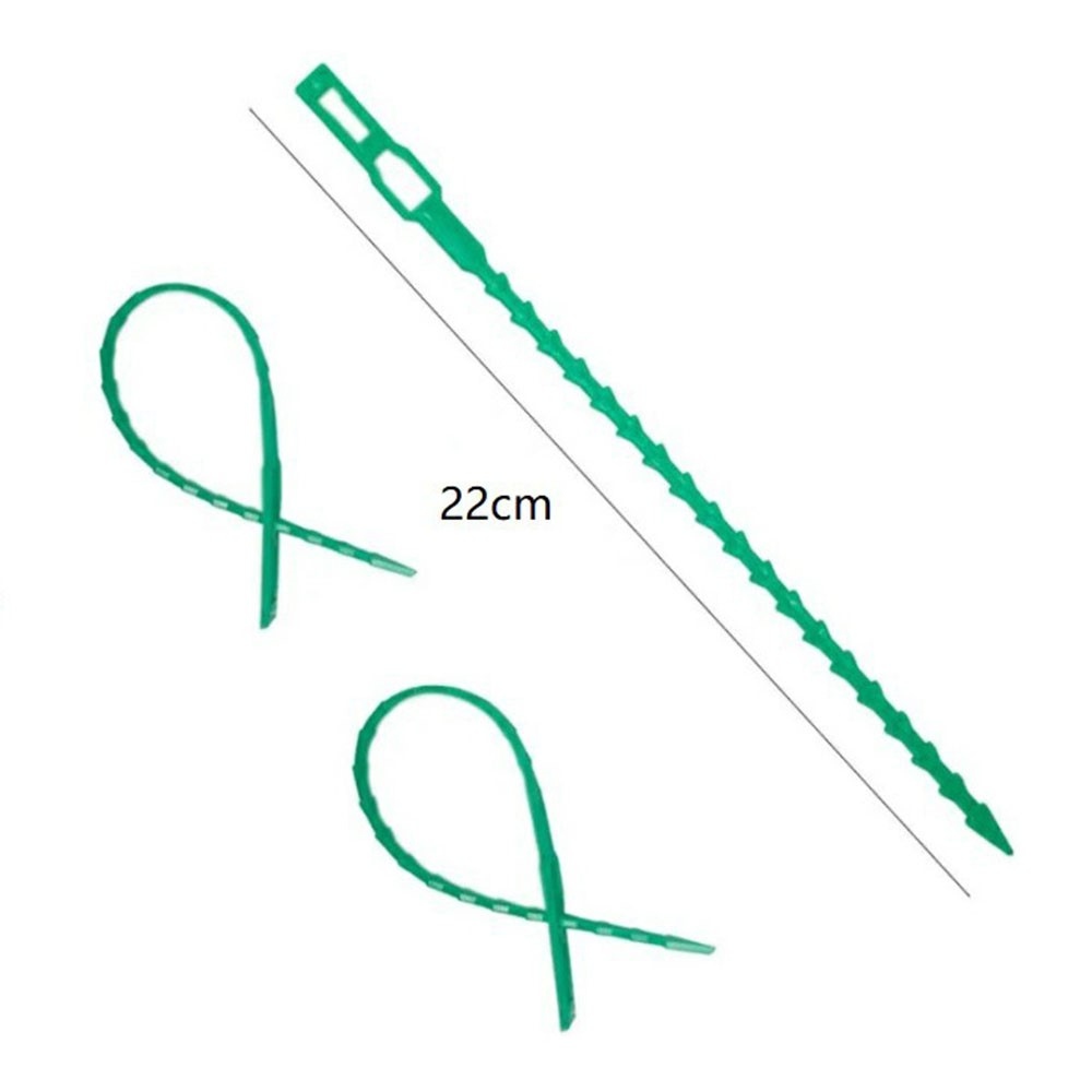 Záhradné fixačné pásky na rastliny 22 cm (50ks) - zelené