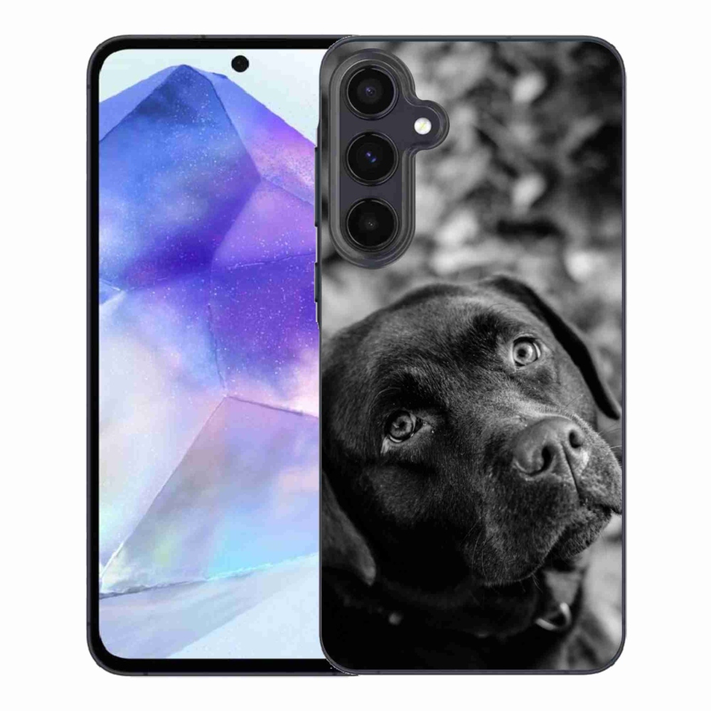 Gélový obal mmCase na Samsung Galaxy A55 5G - labrador