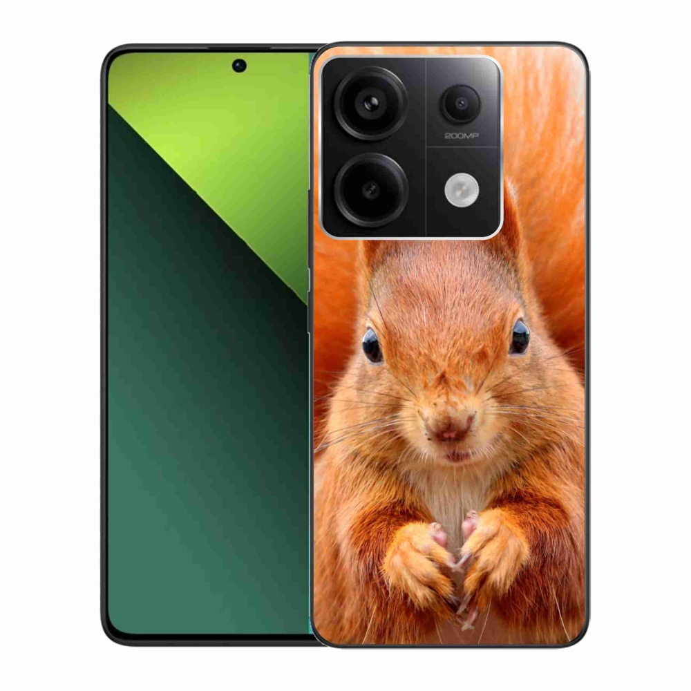 Gélový kryt mmCase na Xiaomi Redmi Note 13 Pro 5G/Poco X6 5G - veverička