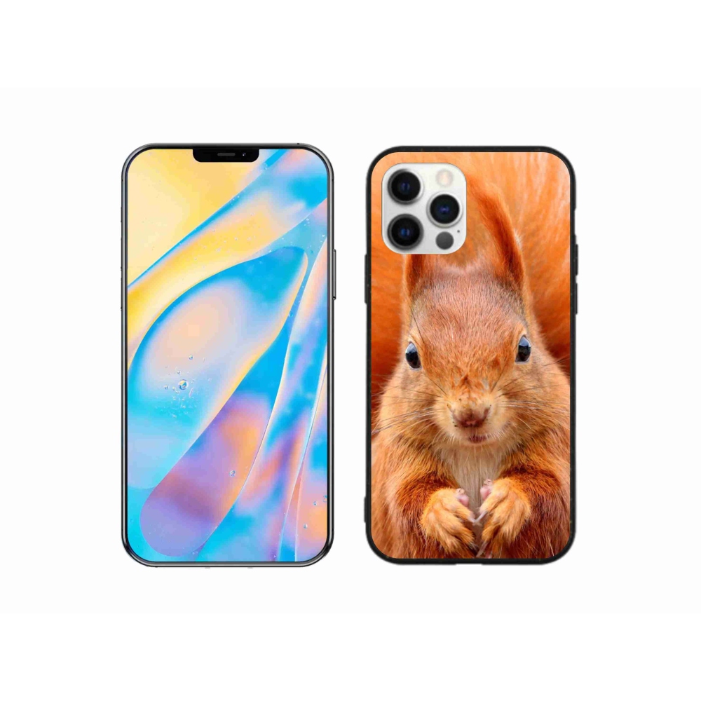 Gélový kryt mmCase na iPhone 12 Pro - veverička