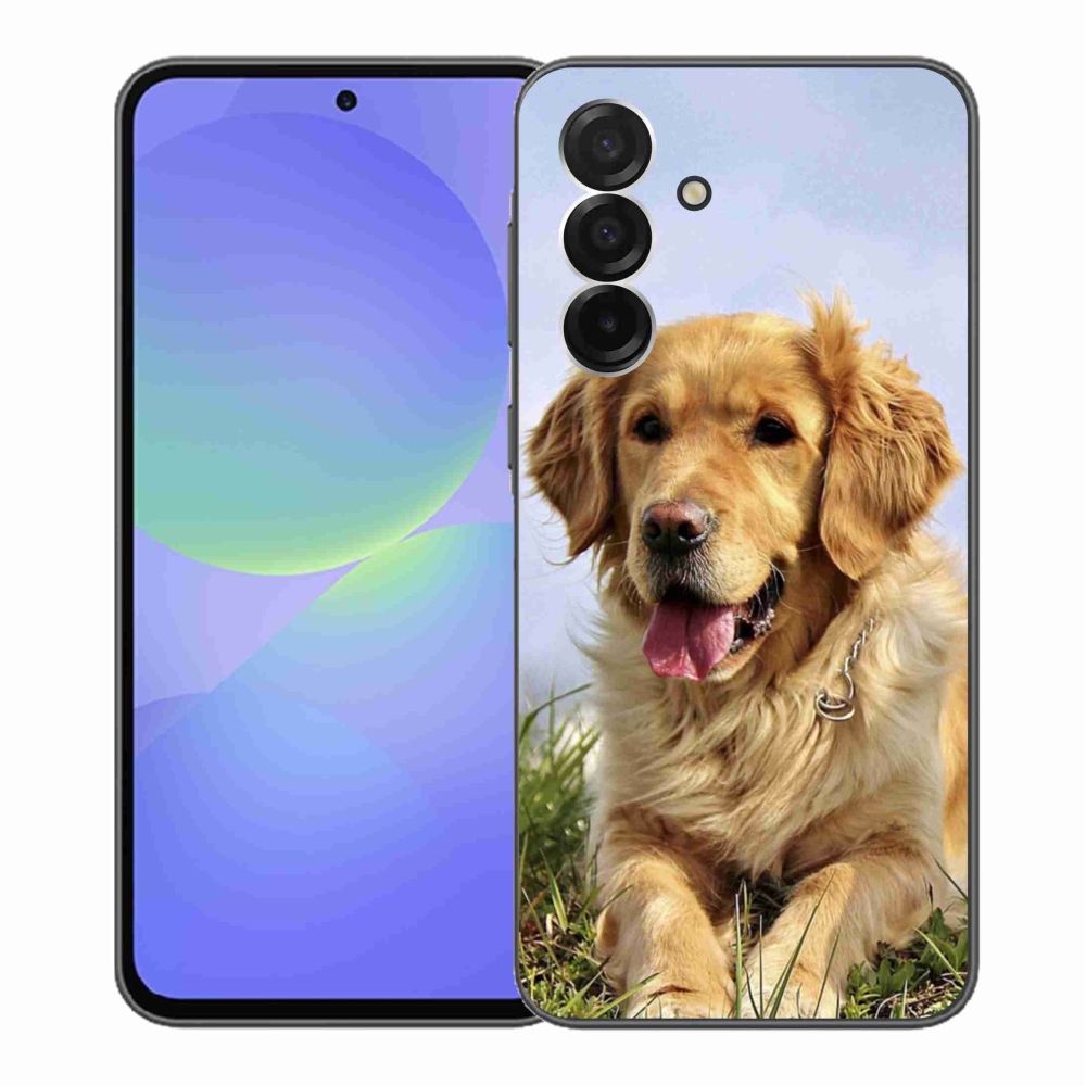 Gélový kryt mmCase na Samsung Galaxy A36 5G - zlatý retriever