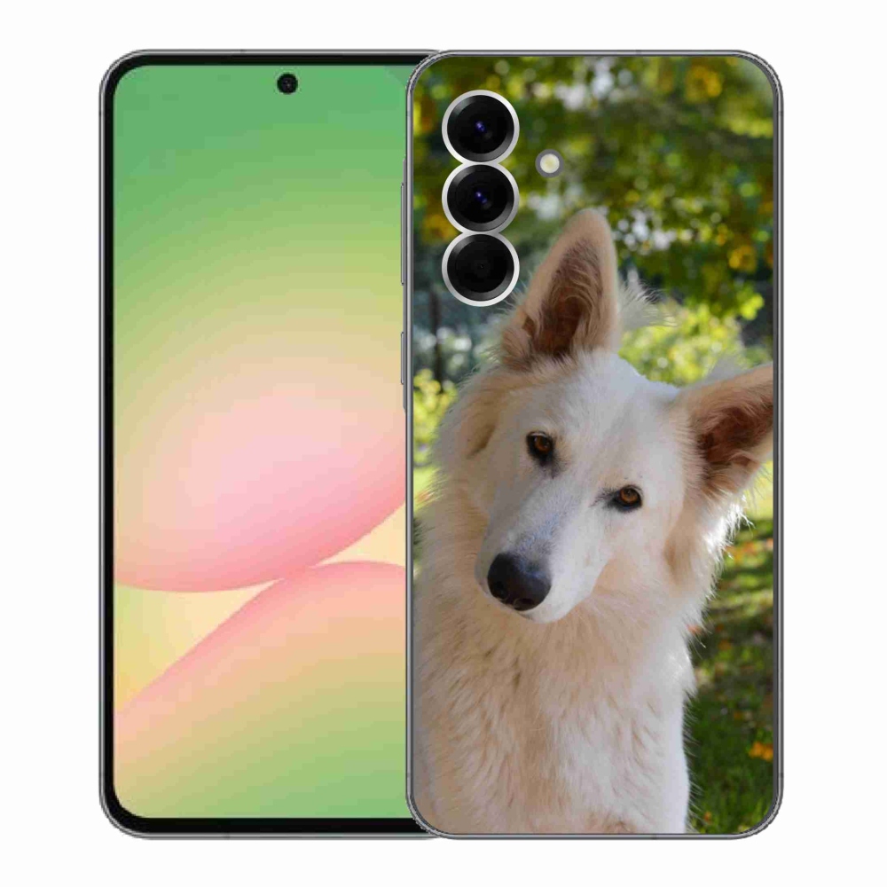 Gélový kryt mmCase na Samsung Galaxy A56 5G - biely švajčiarsky ovčiak 1
