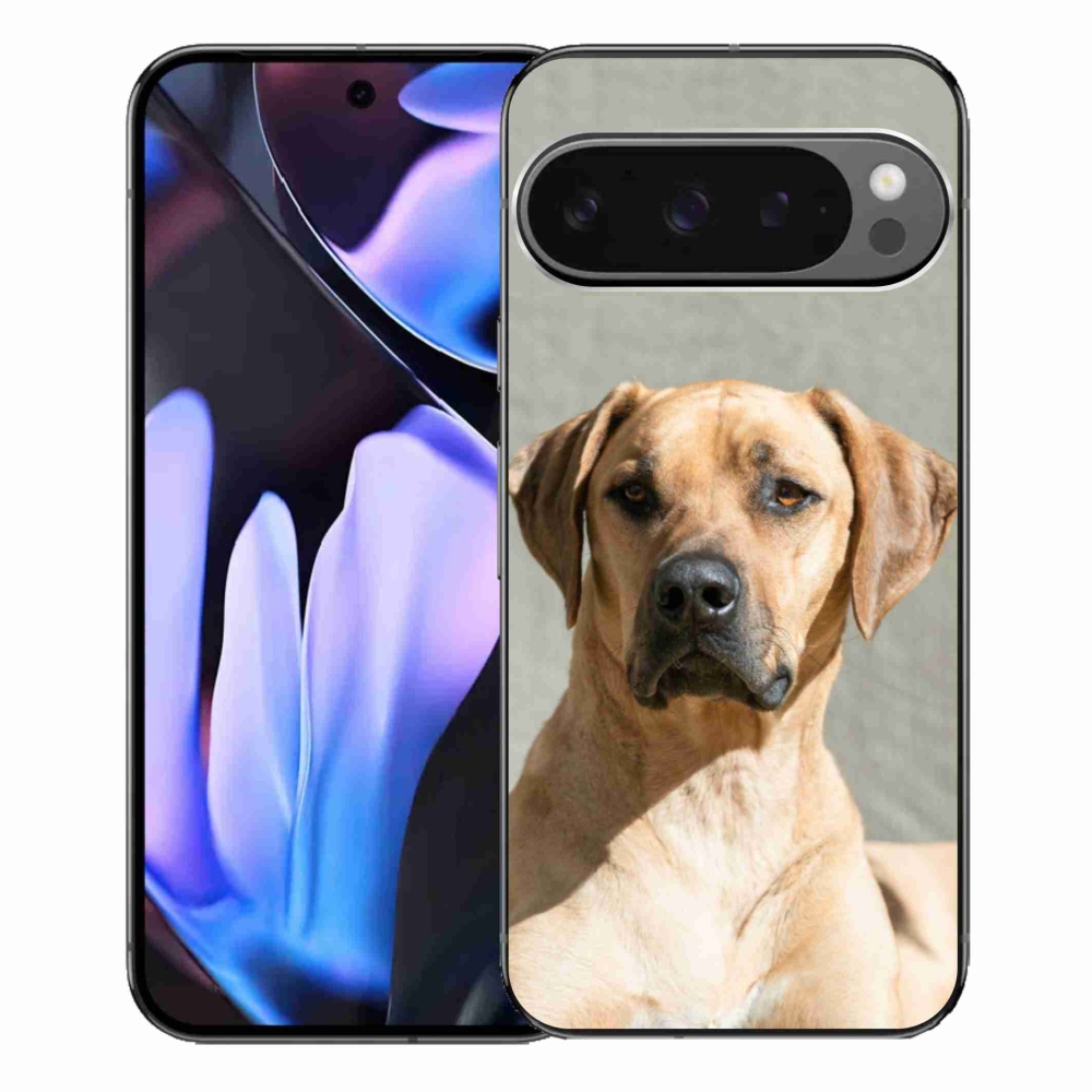 Gélový kryt mmCase na Google Pixel 9 Pro XL - ridgeback