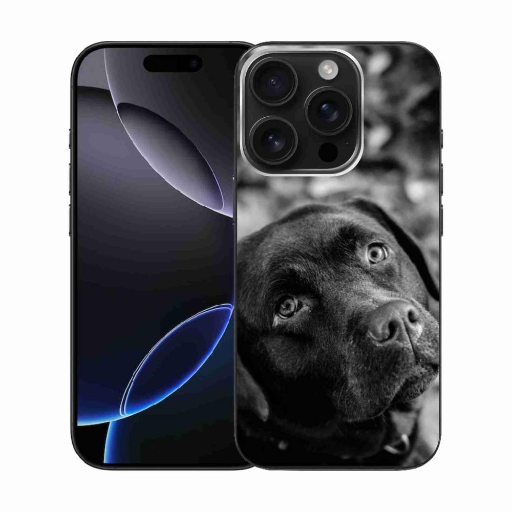 Gélový obal mmCase na iPhone 16 Pro - labrador