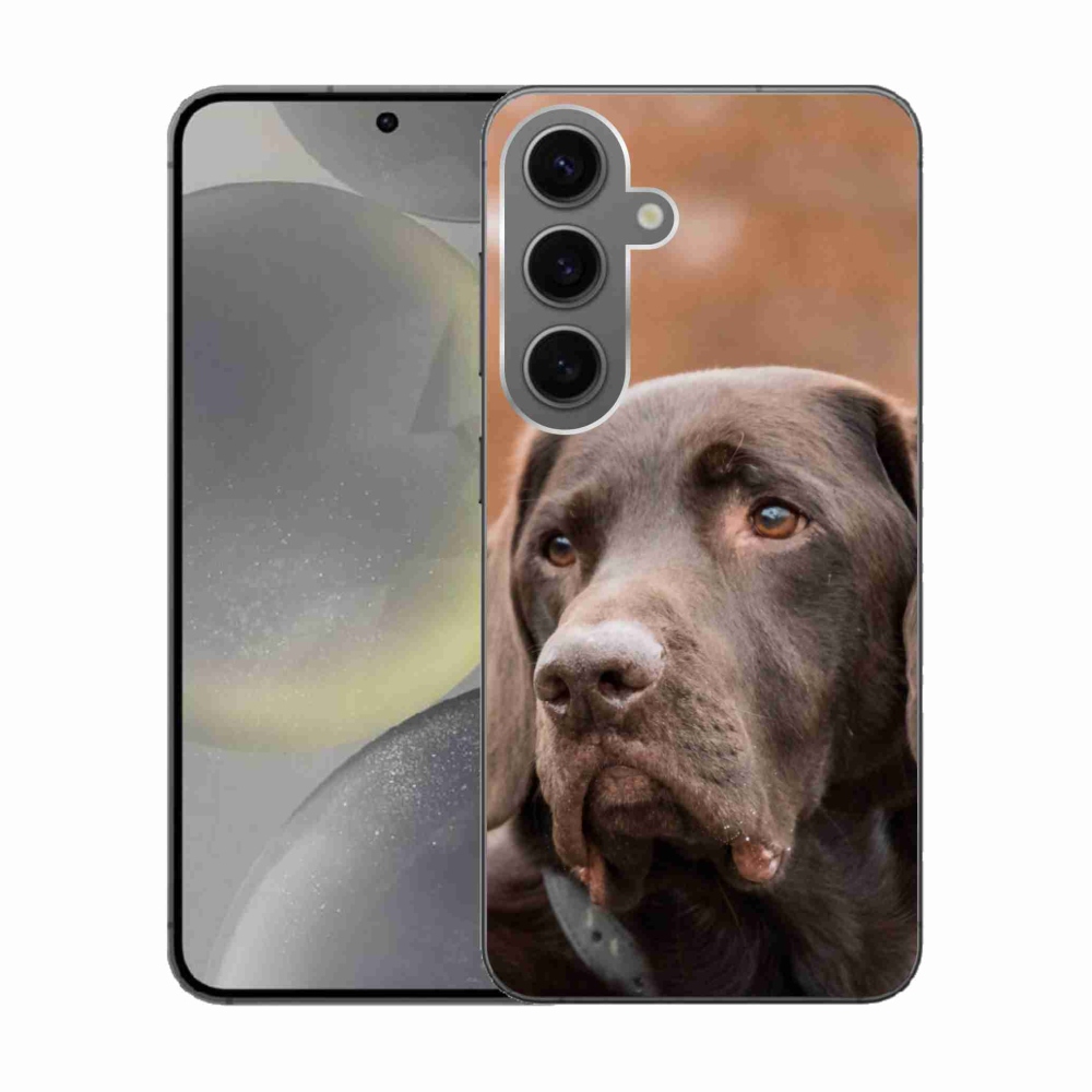 Gélový obal mmCase na Samsung Galaxy S24 - hnedý labrador