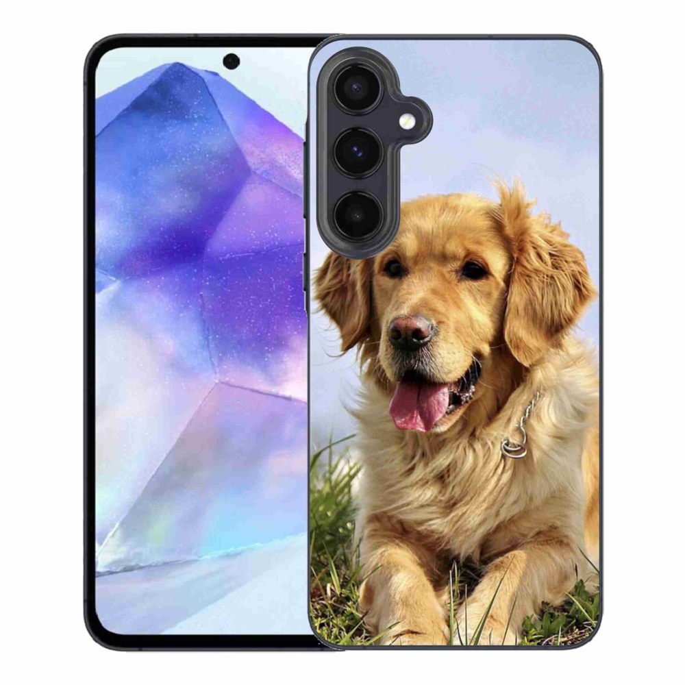 Gélový obal mmCase na Samsung Galaxy A55 5G - zlatý retriever