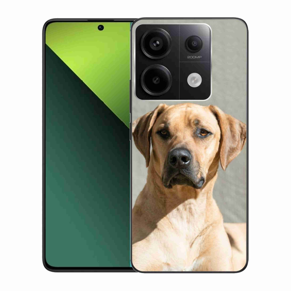 Gélový kryt mmCase na Xiaomi Redmi Note 13 Pro 5G/Poco X6 5G - ridgeback