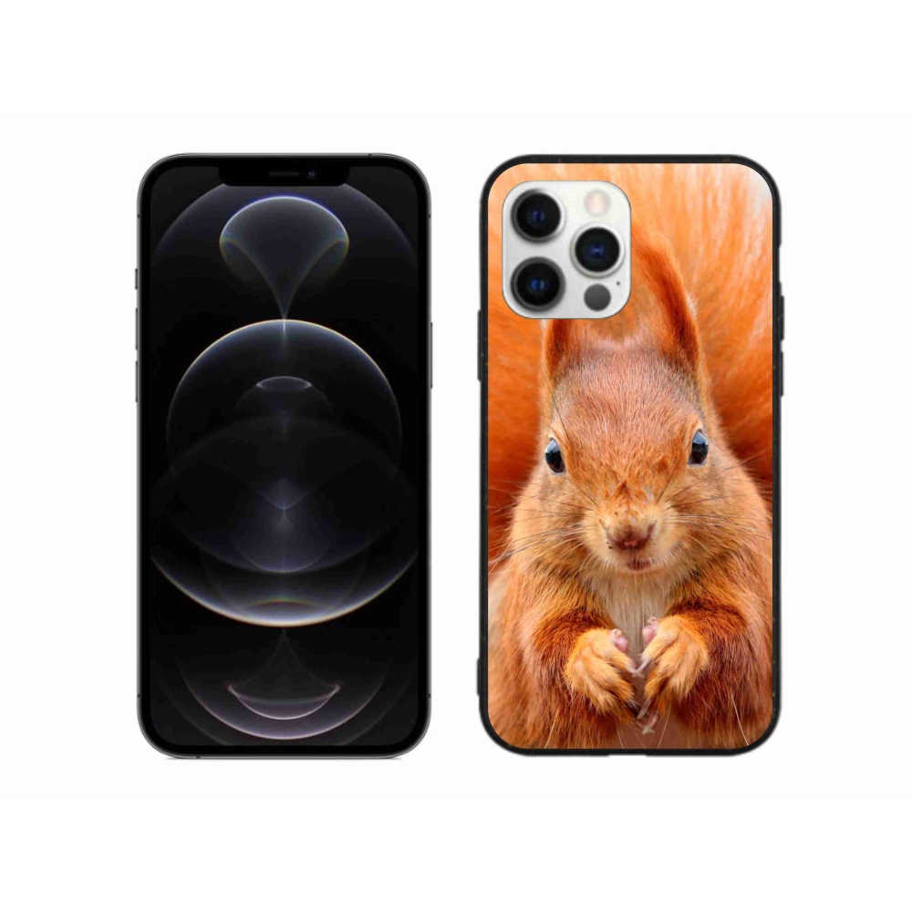 Gélový kryt mmCase na iPhone 12 Pro Max - veverička