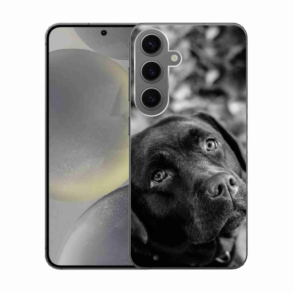 Gélový obal mmCase na Samsung Galaxy S24 - labrador