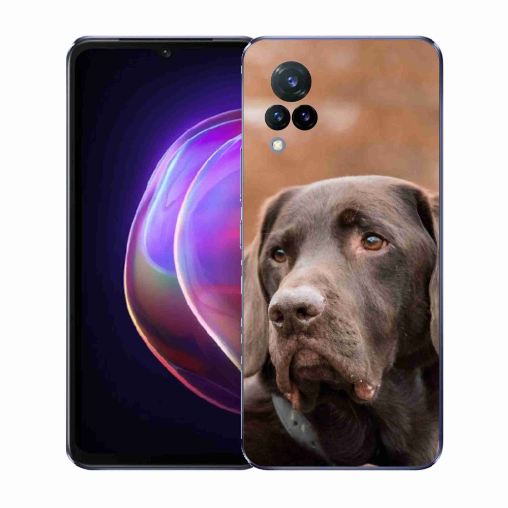Gélový kryt mmCase na Vivo V21 4G/5G - hnedý labrador