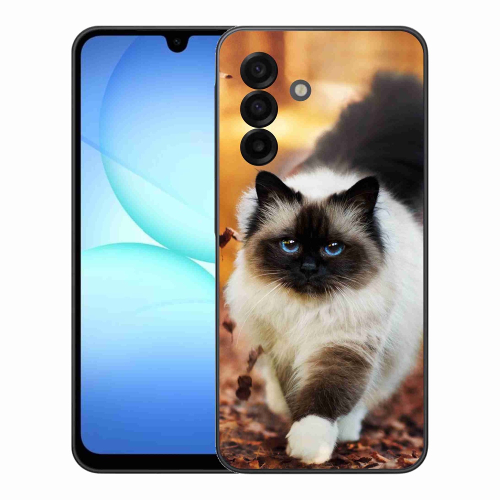 Gélový kryt mmCase na Samsung Galaxy A17 4G/5G - mačka