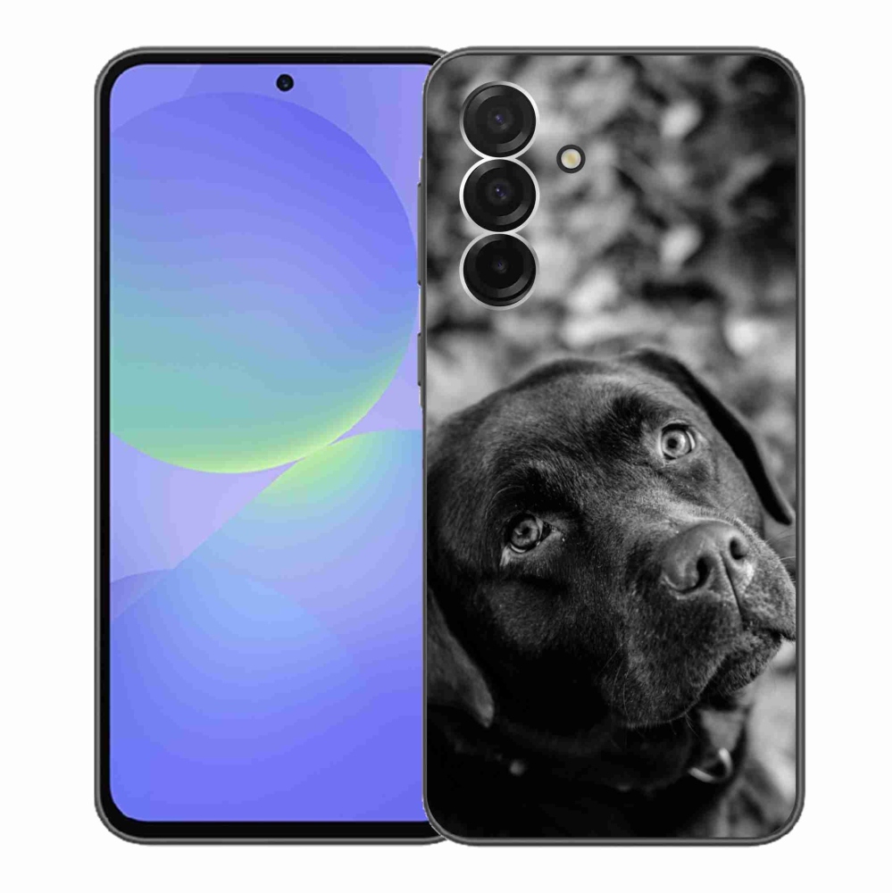 Gélový kryt mmCase na Samsung Galaxy A36 5G - labrador