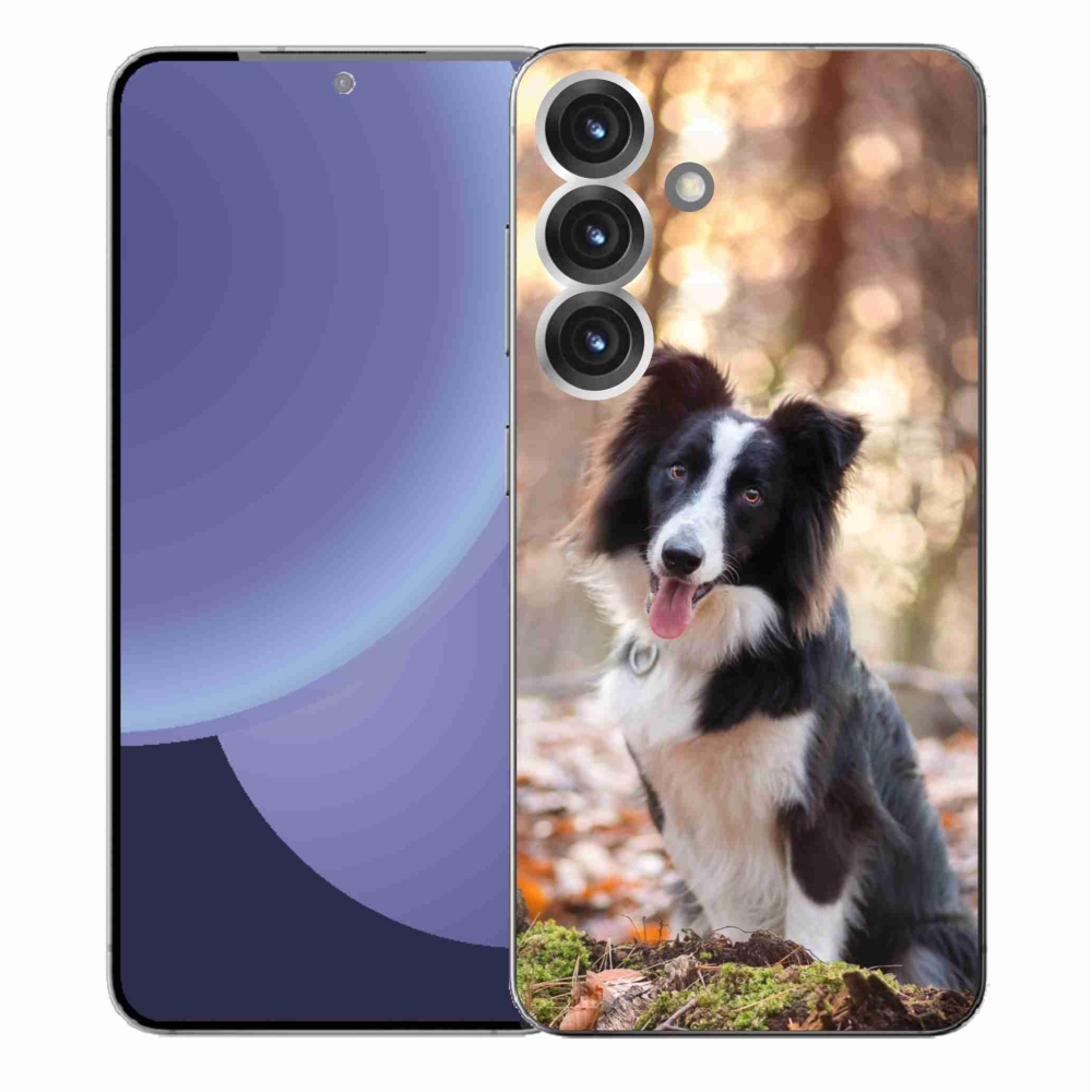 Gélový kryt mmCase na Samsung Galaxy S25+ - border kólia 1