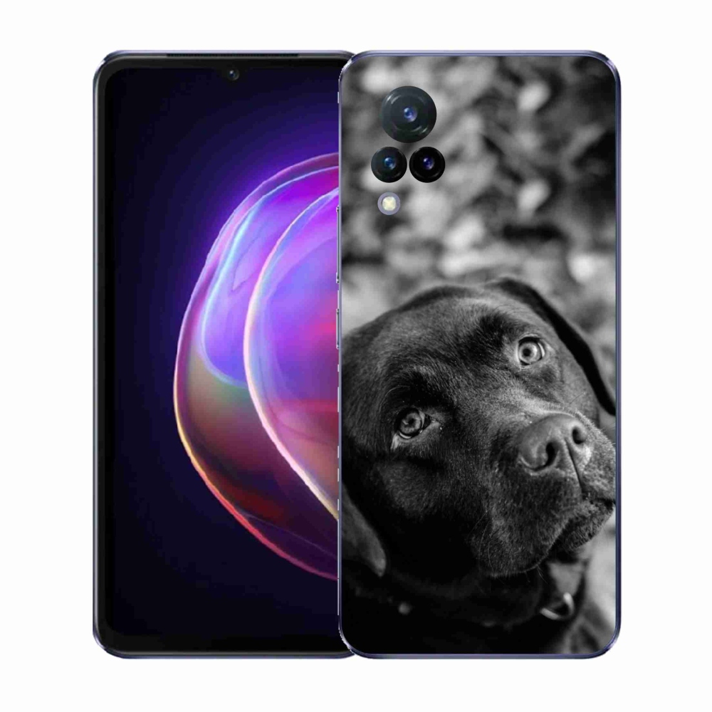 Gélový kryt mmCase na Vivo V21 4G/5G - labrador