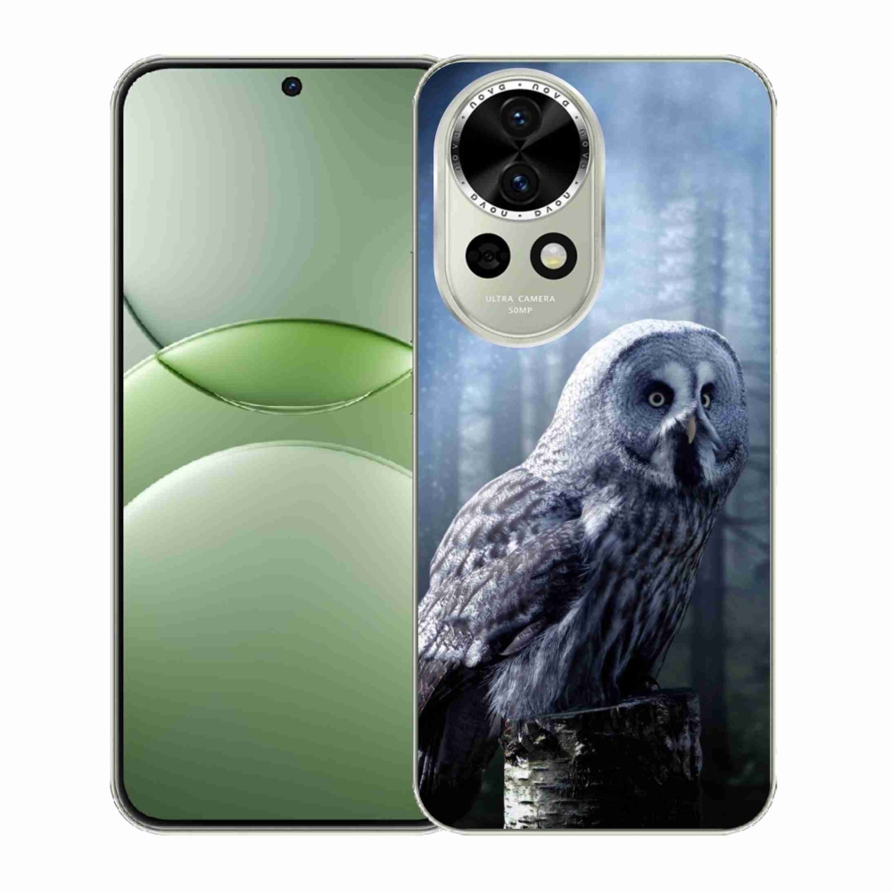 Gélový kryt mmCase na Huawei Nova 13 5G - sova