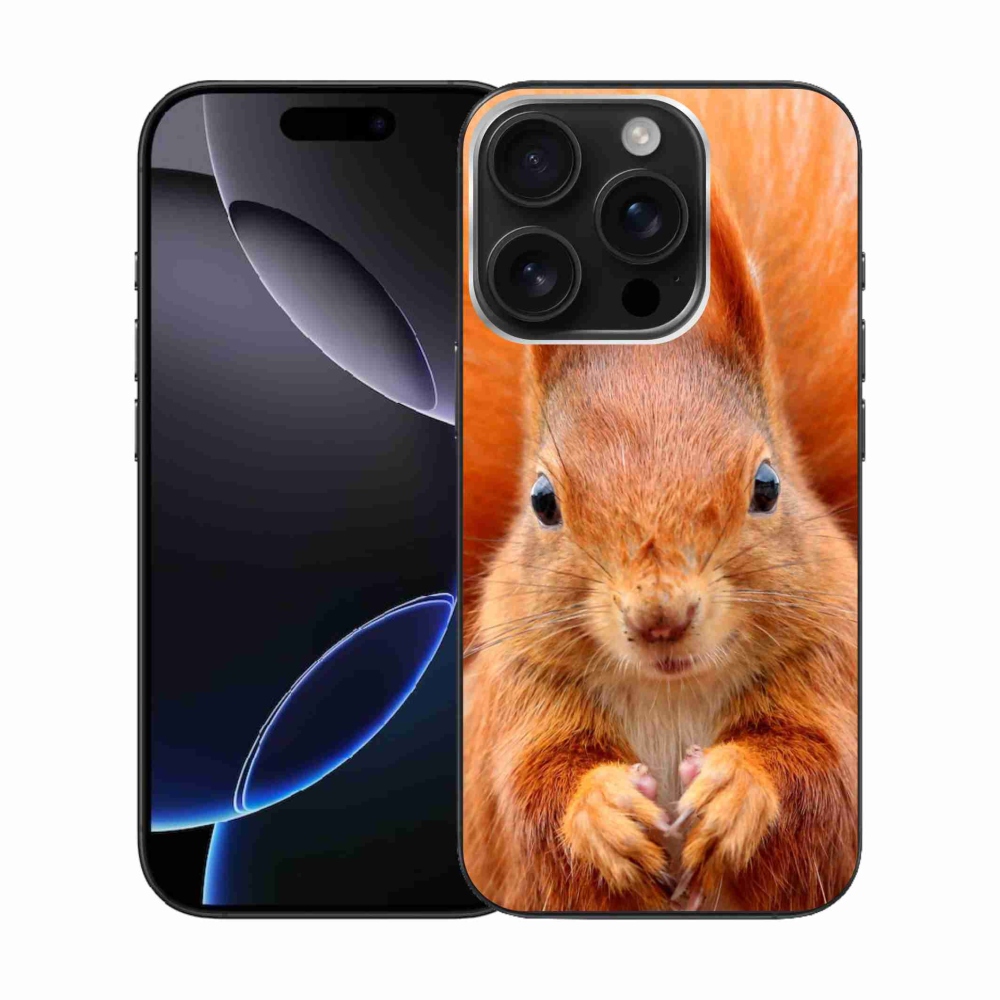 Gélový kryt mmCase na iPhone 16 Pro - veverička