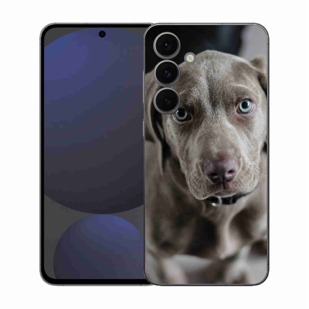 Gélový kryt mmCase na Samsung Galaxy S25 FE - weimarský stavač
