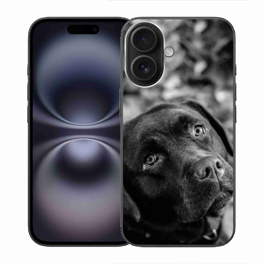 Gélový obal mmCase na iPhone 16 - labrador