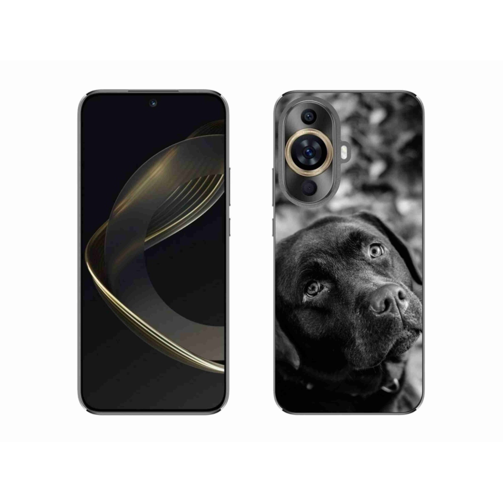 Gélový obal mmCase na Huawei Nova 11 - labrador