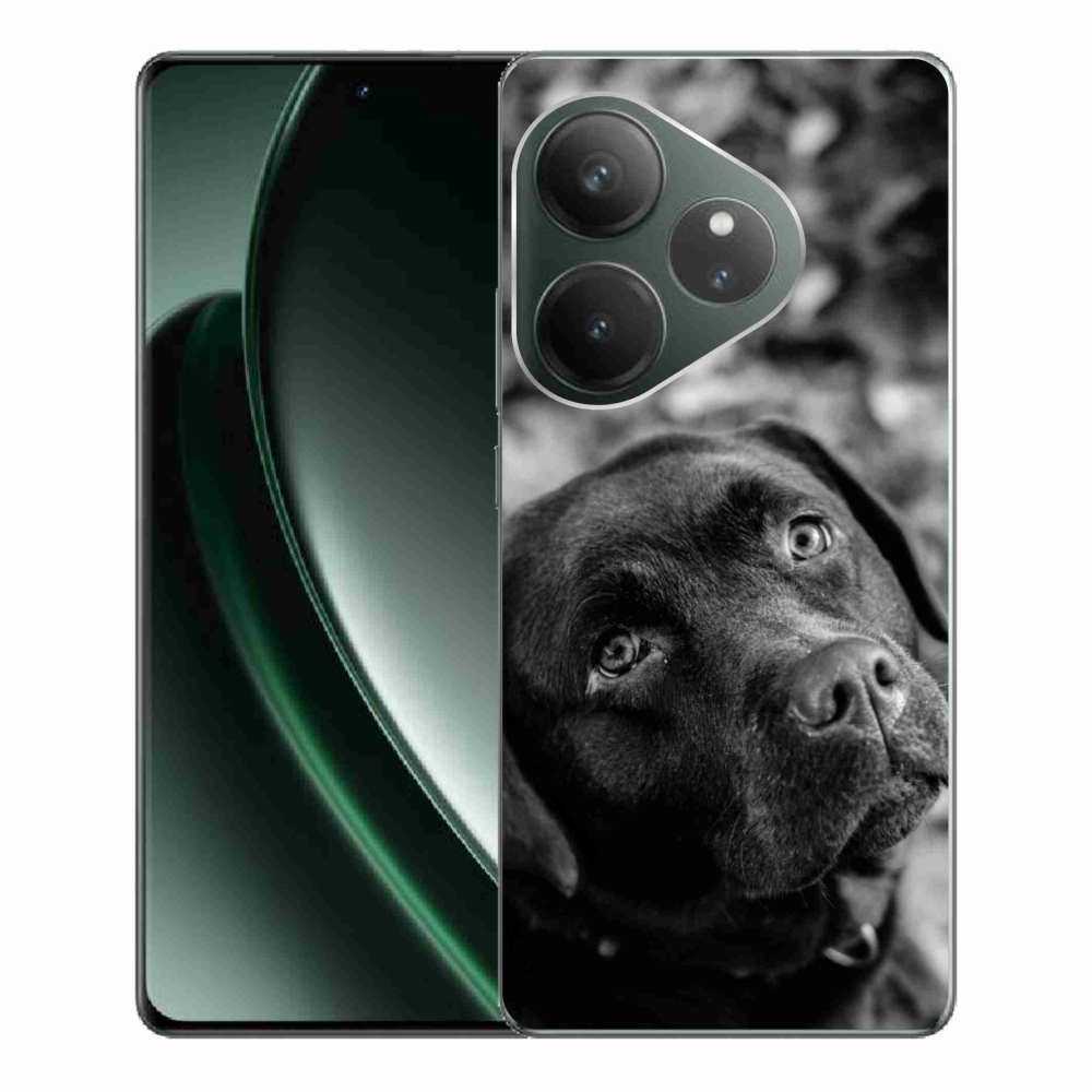 Gélový obal mmCase na Realme GT 6 5G/GT 6T 5G - labrador