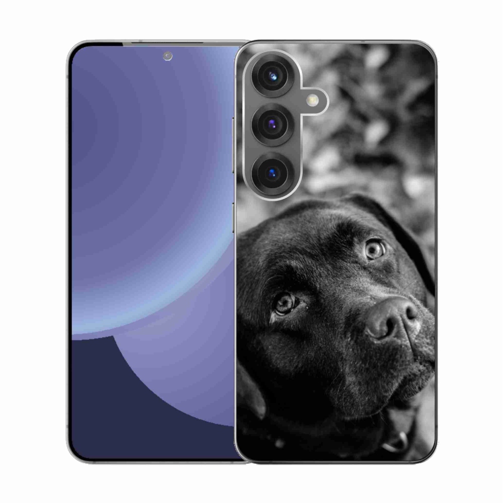 Gélový kryt mmCase na Samsung Galaxy S25 - labrador