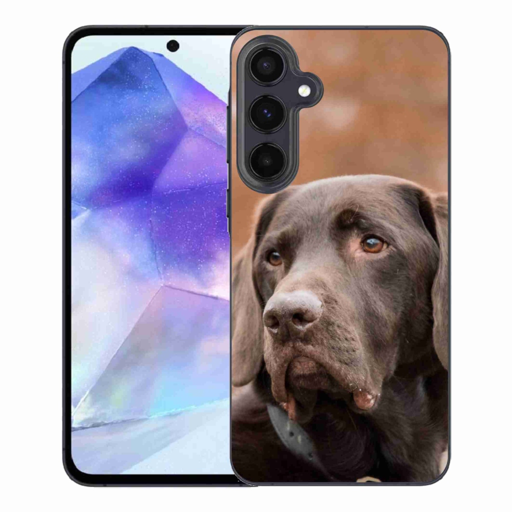 Gélový obal mmCase na Samsung Galaxy A55 5G - hnedý labrador