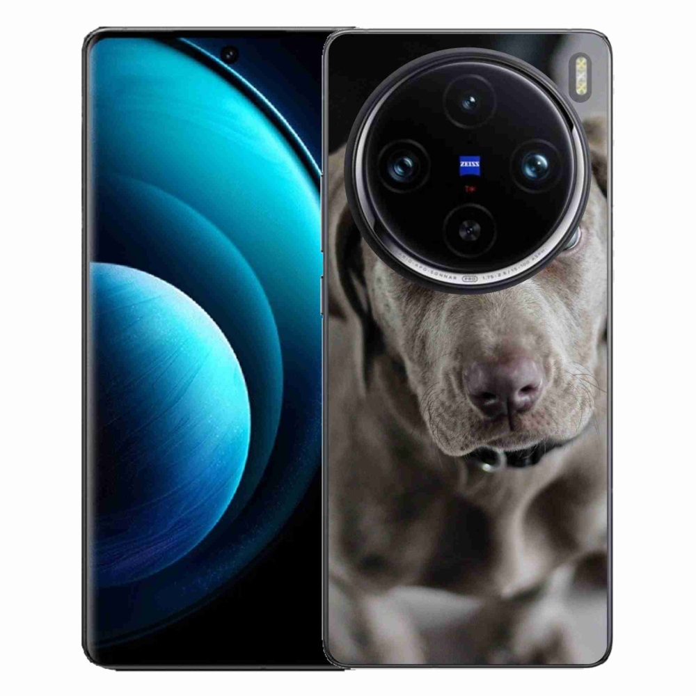 Gélový obal mmCase na Vivo X100 Pro 5G - weimarský stavač