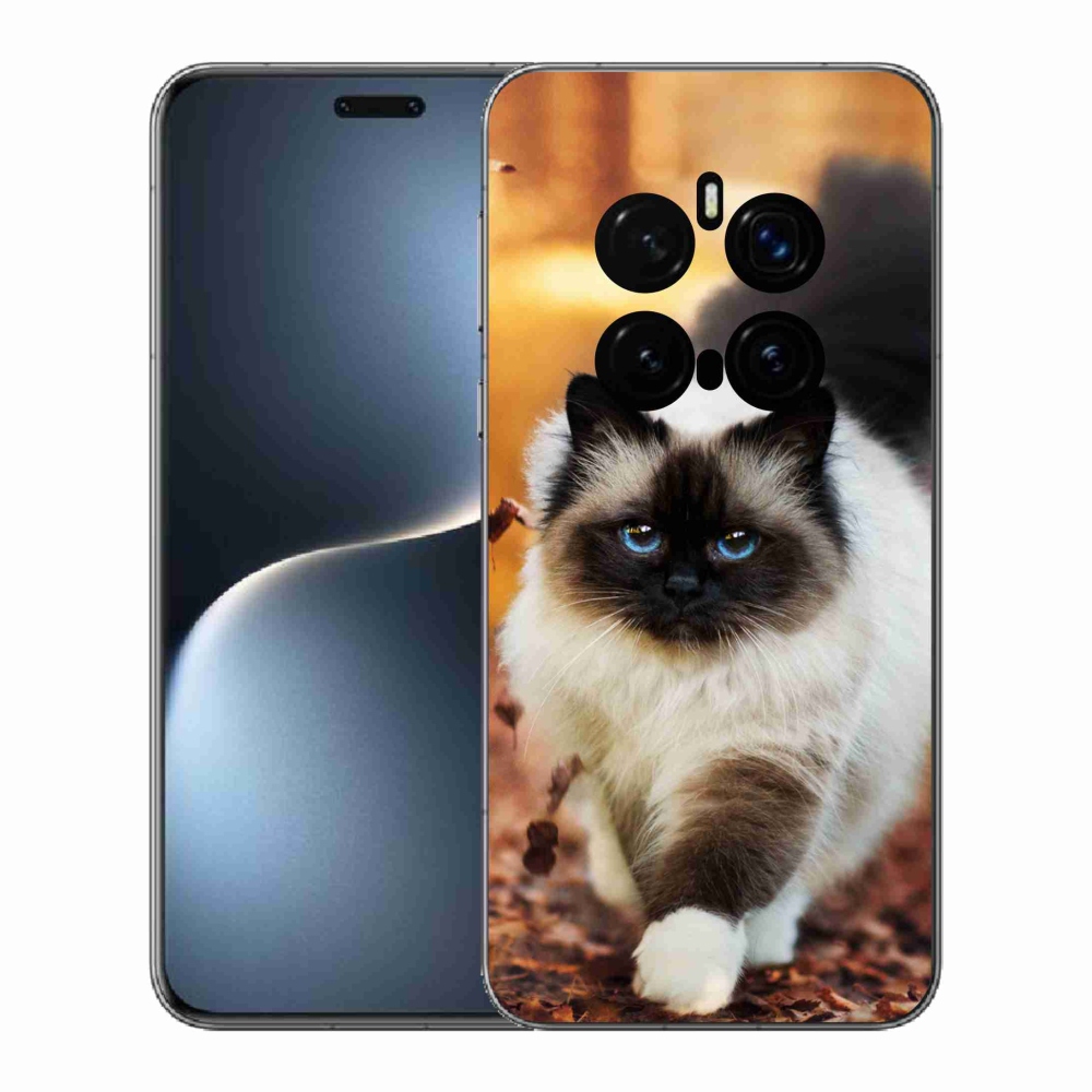 Gélový kryt mmCase na Honor Magic 7 Pro 5G - mačka