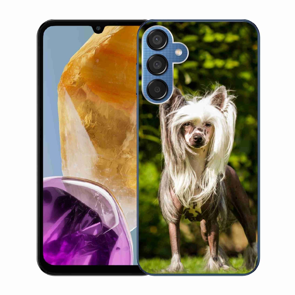 Gélový kryt mmCase na Samsung Galaxy M15 5G - čínsky chocholatý pes