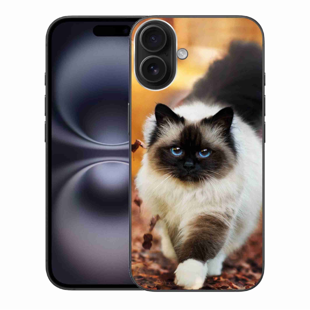 Gélový obal mmCase na iPhone 16 Plus - mačka