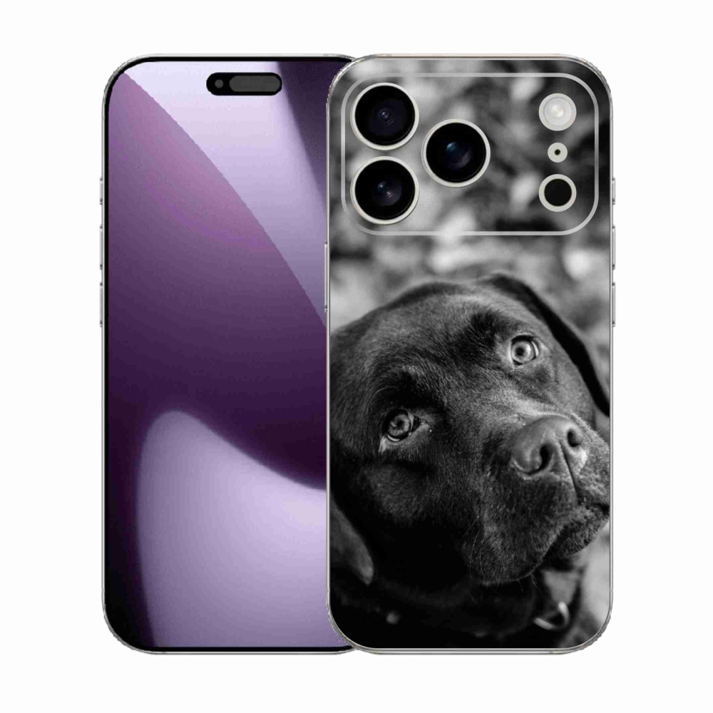 Gélový kryt mmCase na iPhone 17 Pro - labrador