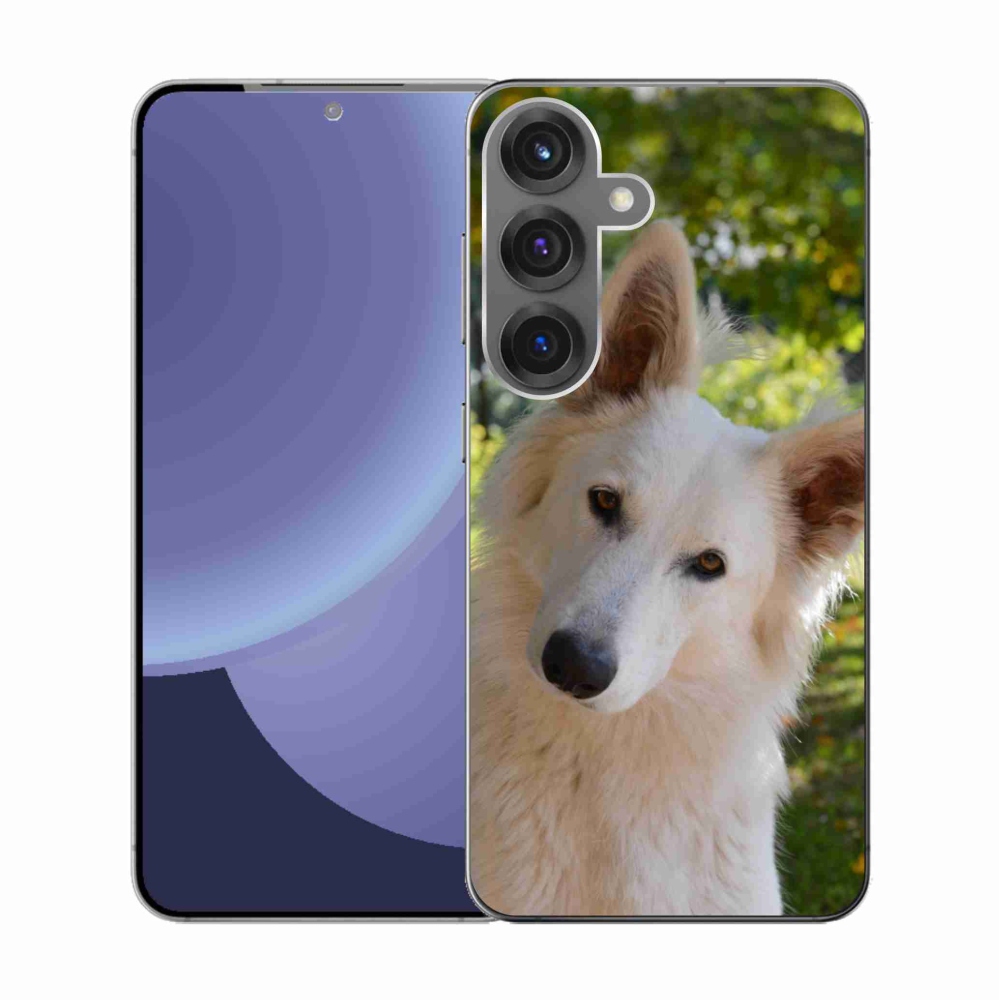 Gélový kryt mmCase na Samsung Galaxy S25 - biely švajčiarsky ovčiak 1