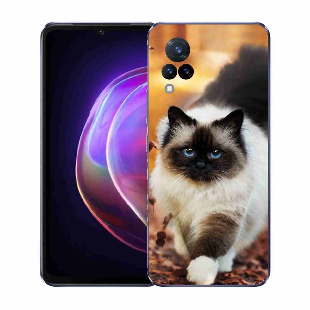 Gélový kryt mmCase na Vivo V21 4G/5G - mačka