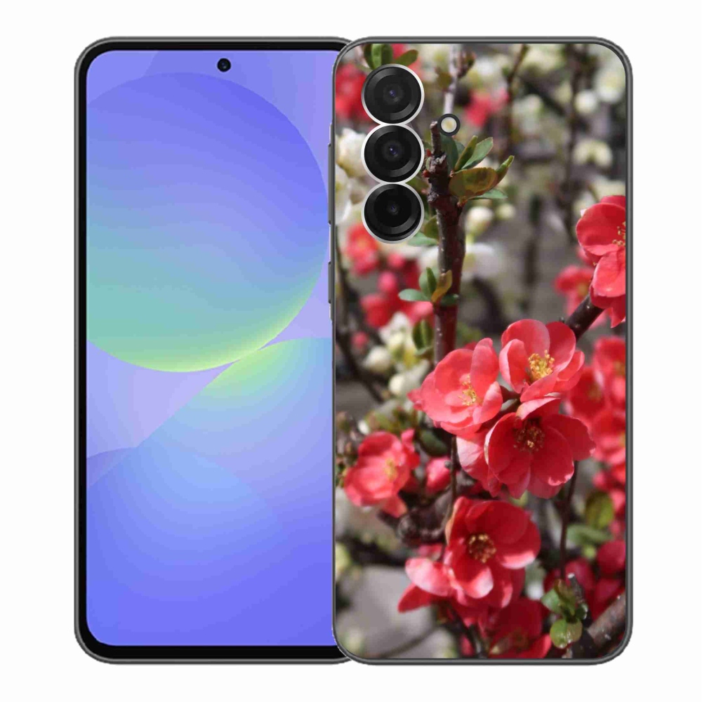 Gélový kryt mmCase na Samsung Galaxy A36 5G - červené kvety