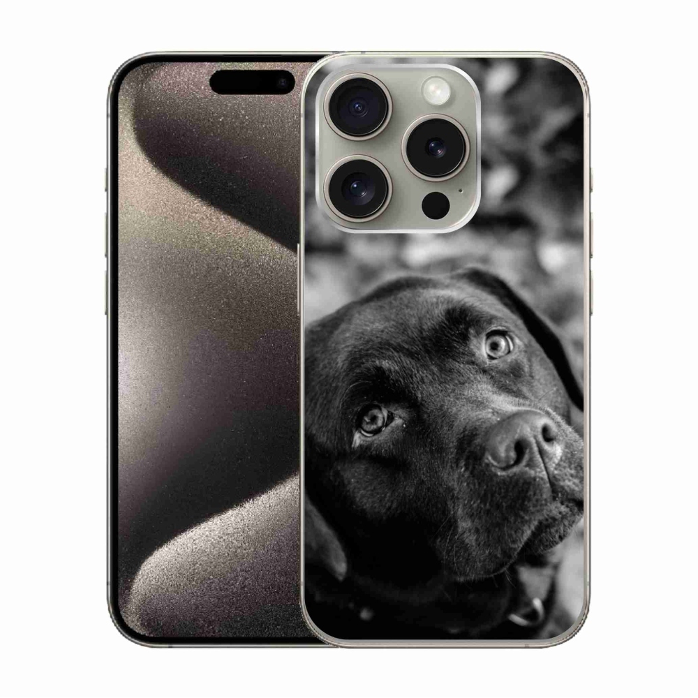 Gélový obal mmCase na iPhone 15 Pro - labrador