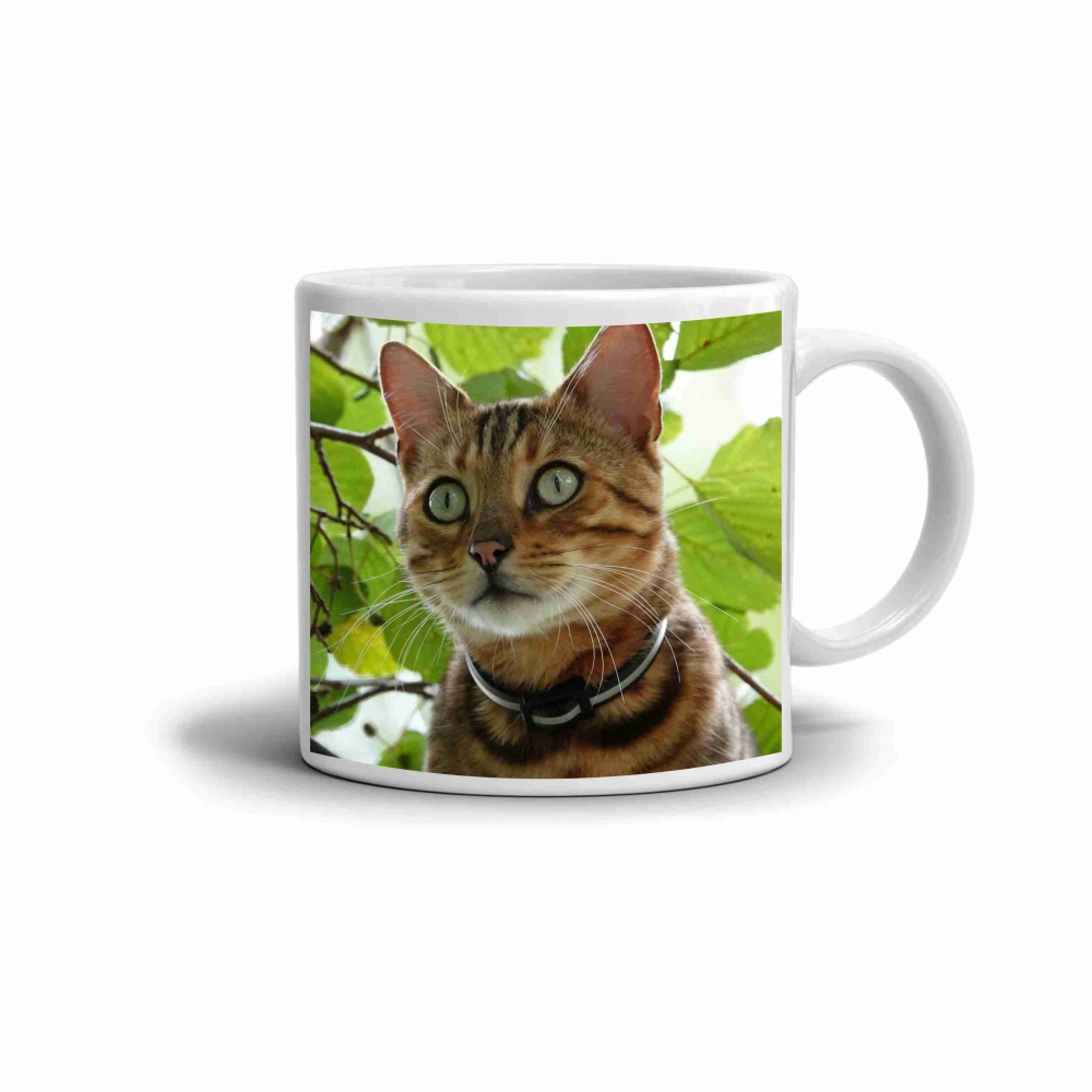 Biely keramický hrnček 330ml s obrázkom - bengálska mačka v prírode