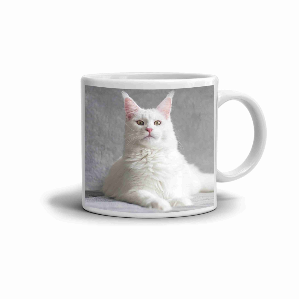 Biely keramický hrnček 330ml s obrázkom - biela mainská mývalia mačka