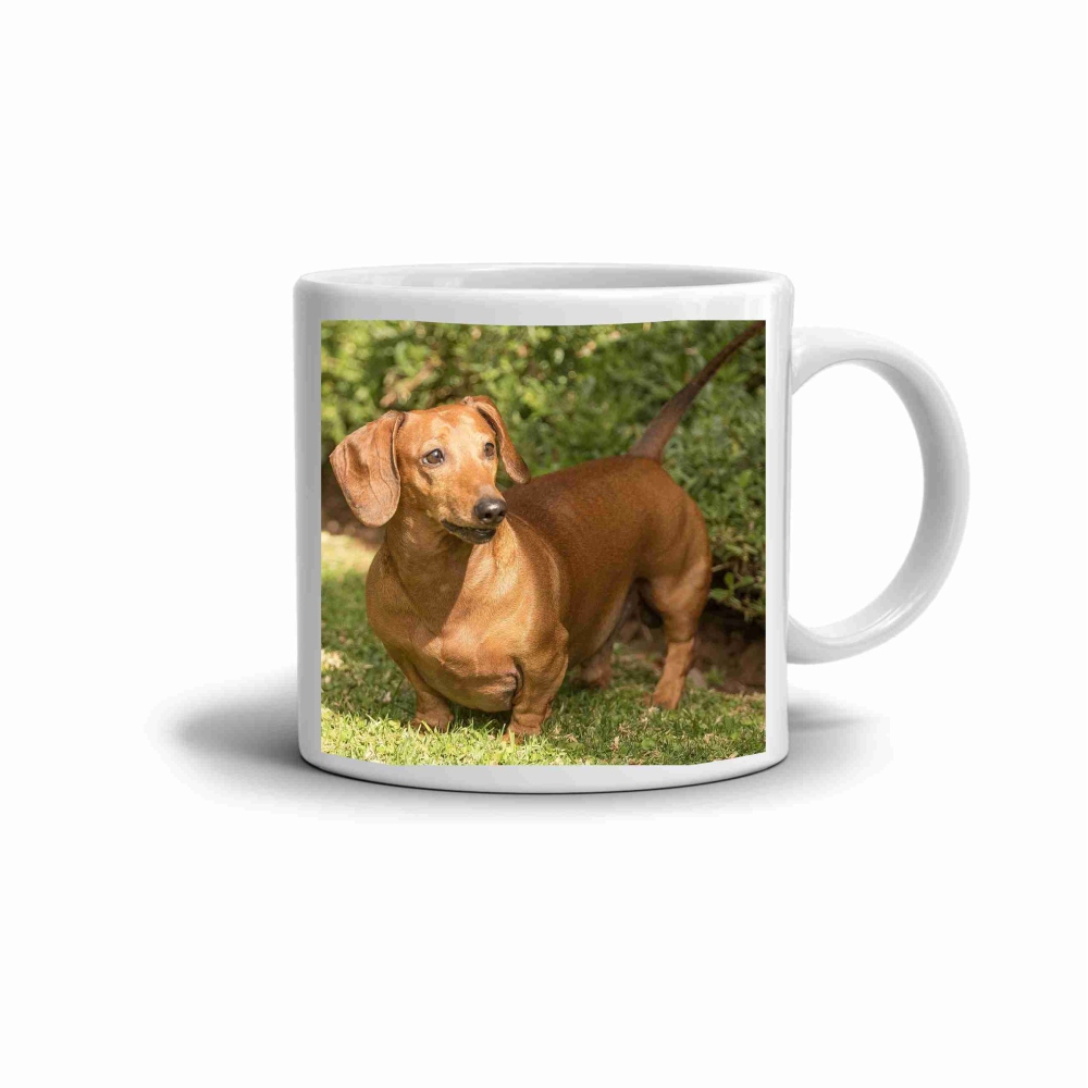 Biely keramický hrnček 330ml s obrázkom - jazvečík