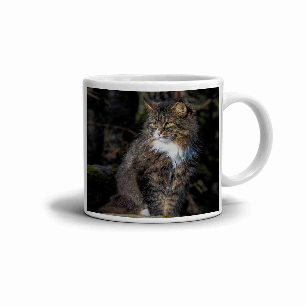 Biely keramický hrnček 330ml s obrázkom - lesná mačacia kráľovná