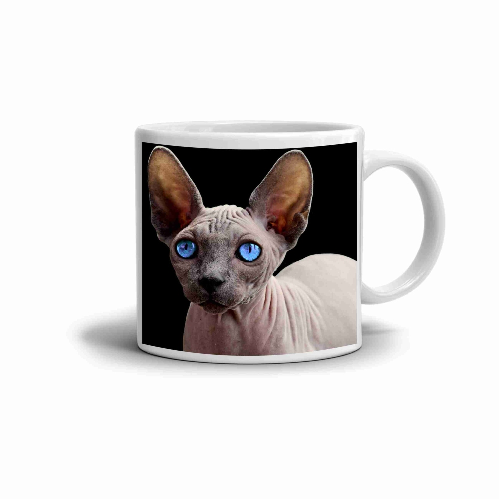 Biely keramický hrnček 330ml s obrázkom - modrooký sphynx
