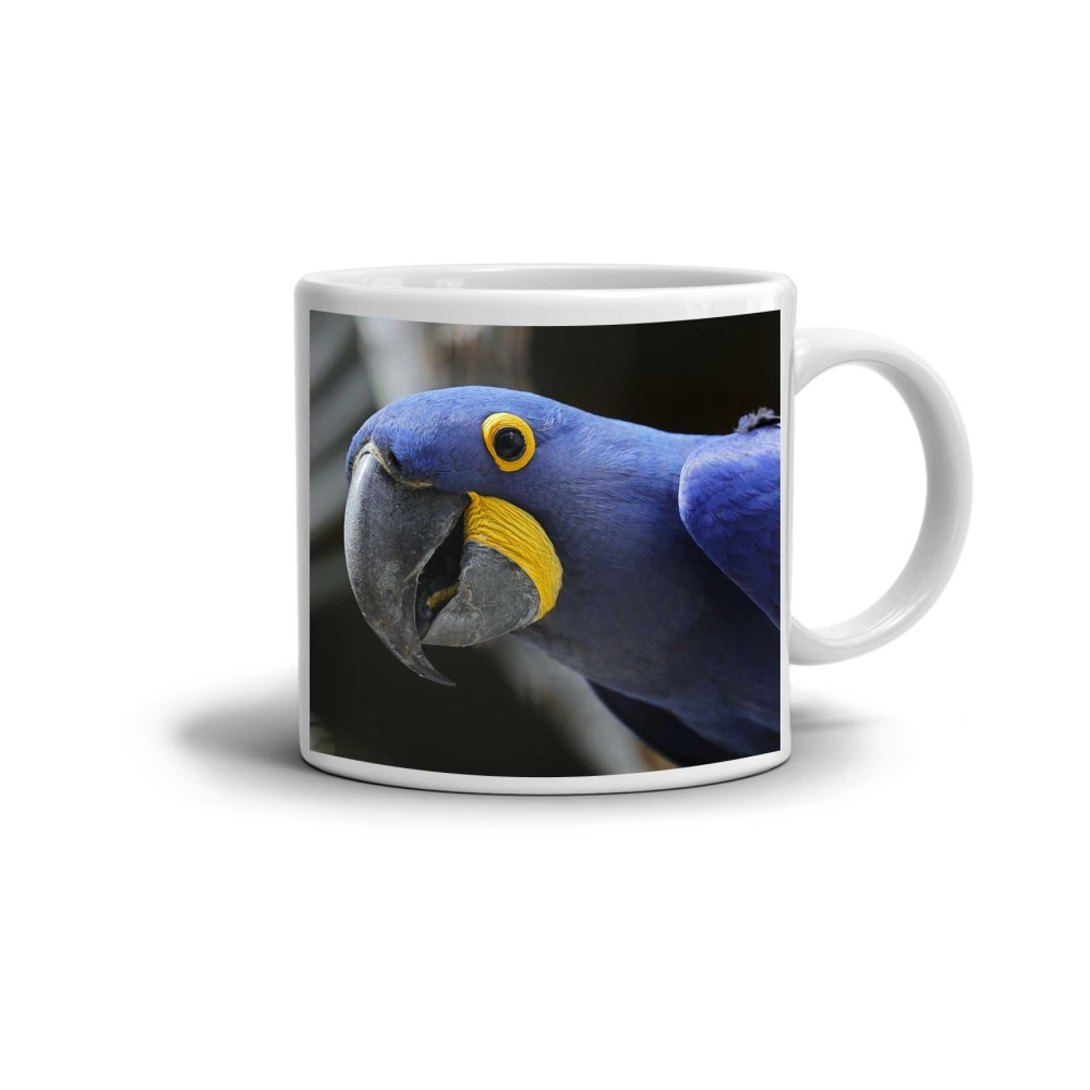 Biely keramický hrnček 330ml s obrázkom - modrý ara hyacintový