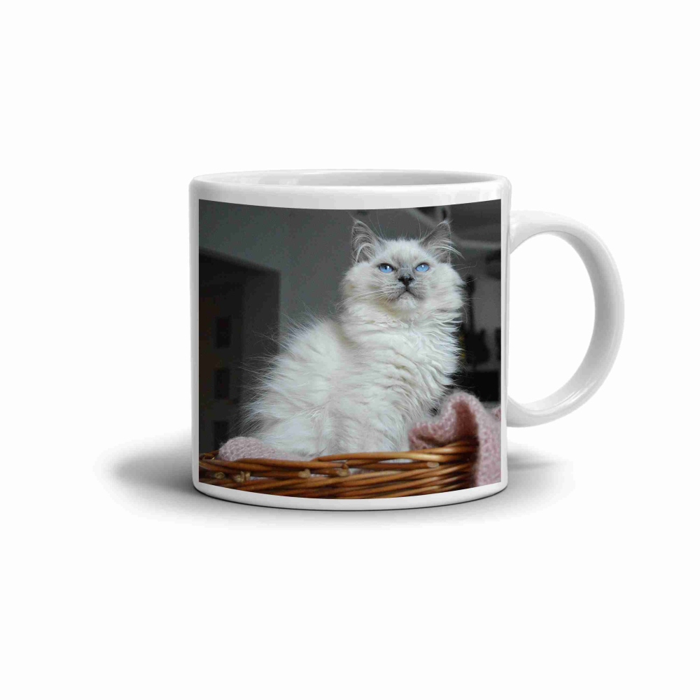 Biely keramický hrnček 330ml s obrázkom - ragdoll v pelechu